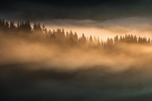 Tåkemorgen