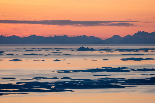 Arctic North