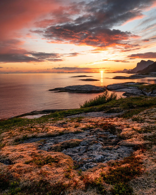 Nordlands sommernatt