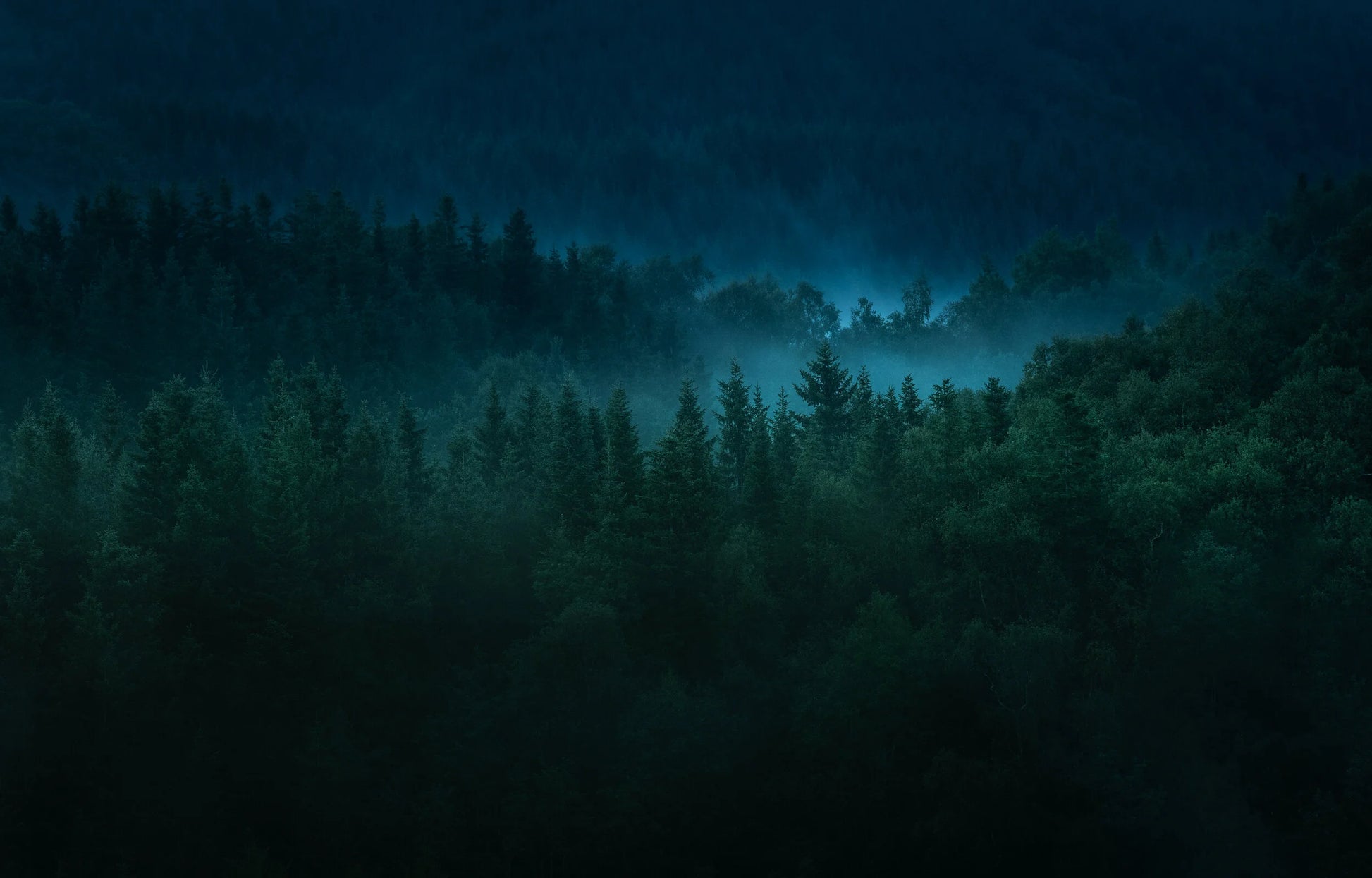 Tåkeskogen