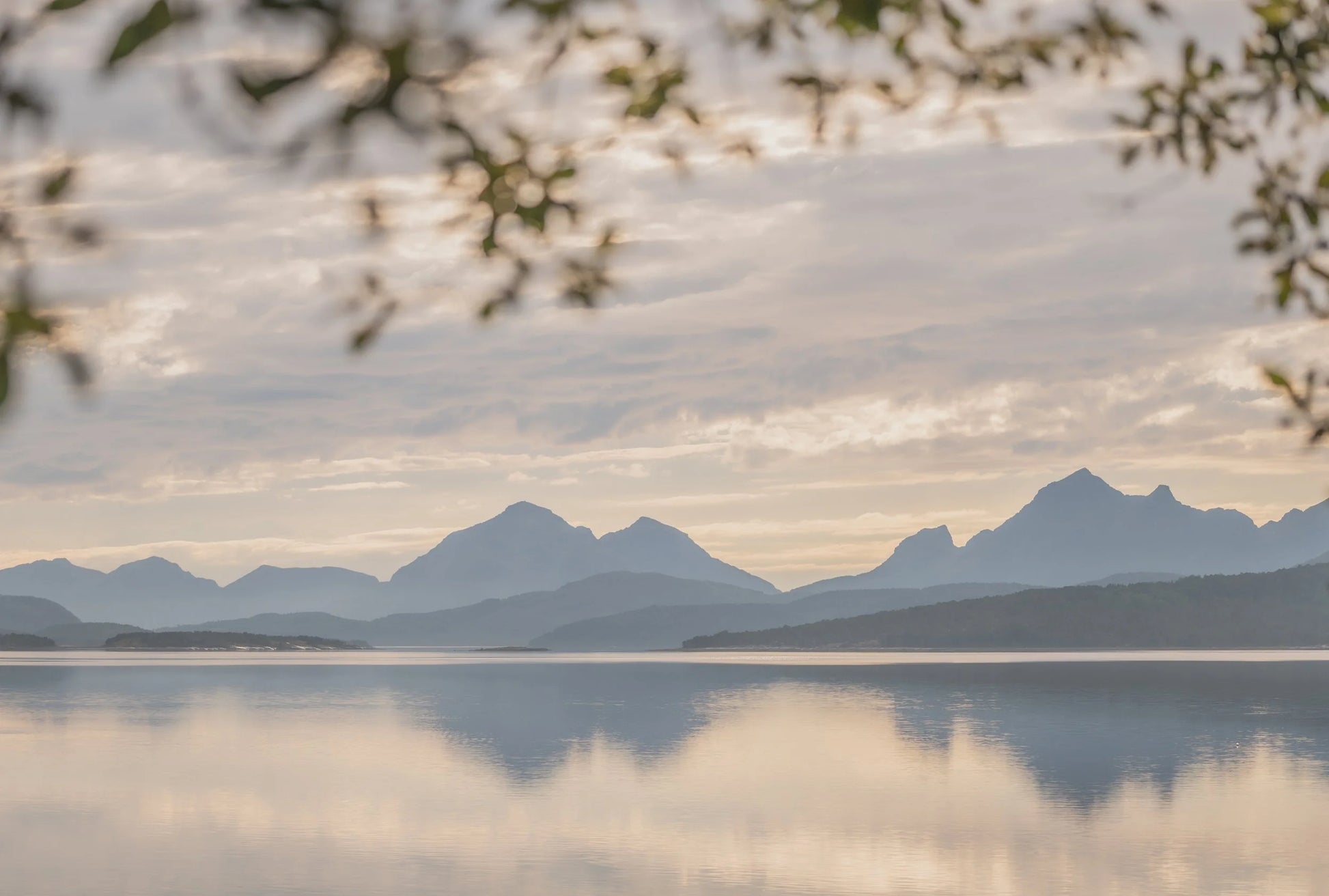 Augustlys ved fjorden