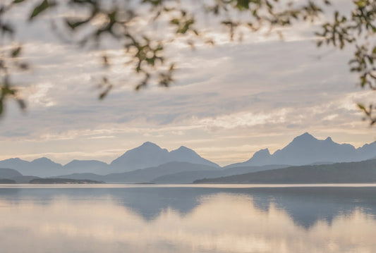 Augustlys ved fjorden