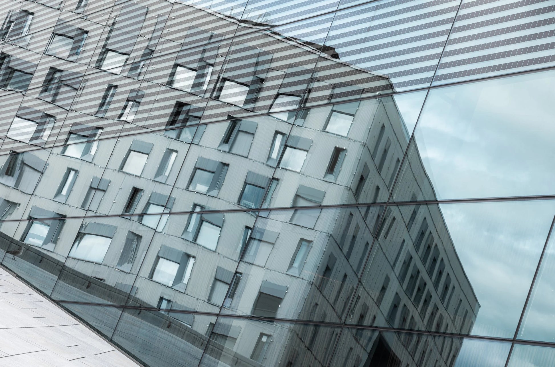 Rutete refleksjon