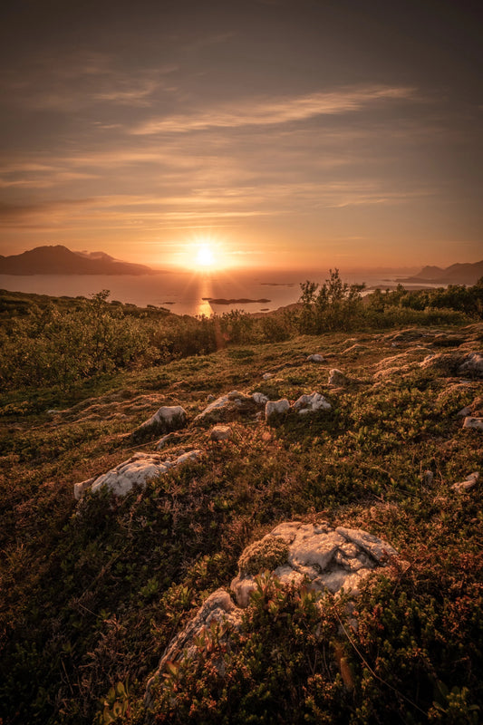 Energi i sommernatt