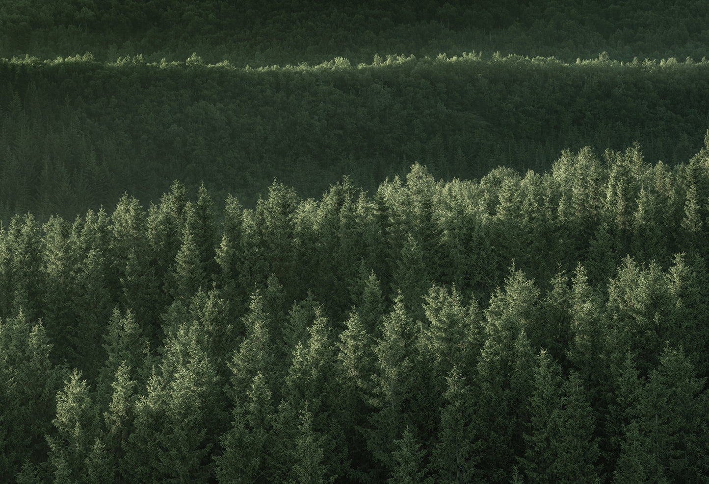 Grønne lunder -PREMIUM LIMITED EDITION-