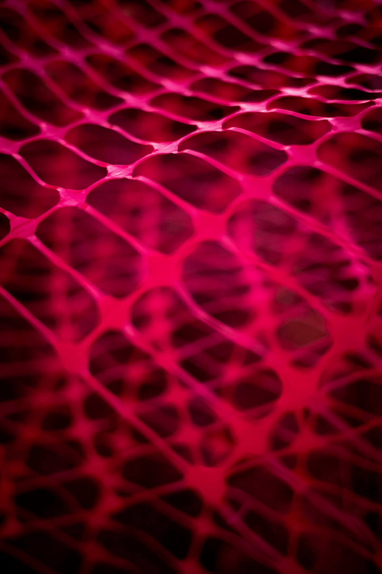 Netting