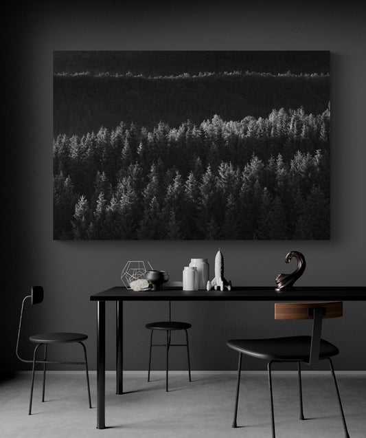 Lyset i en mørk skog